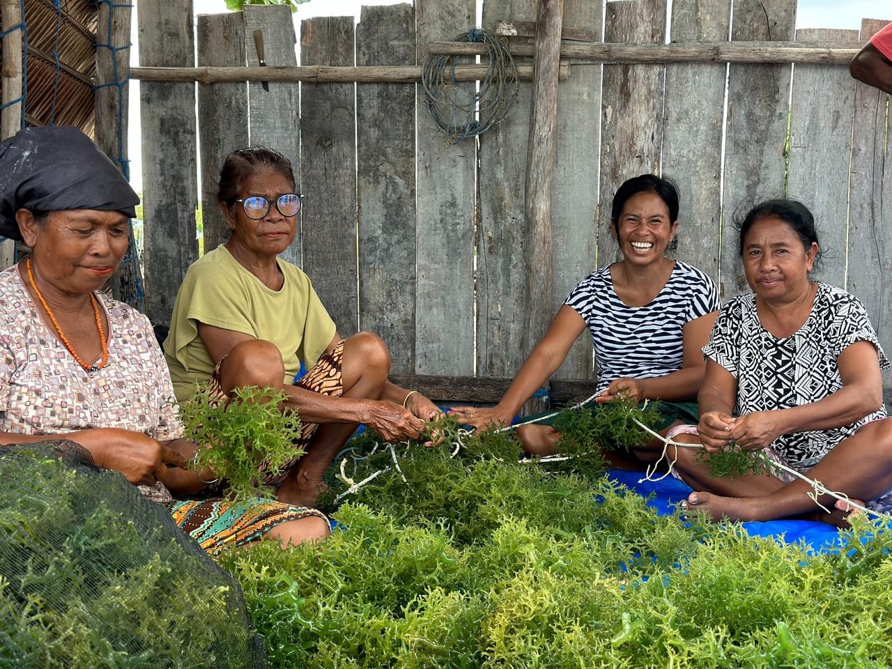 Seaweed Farmers