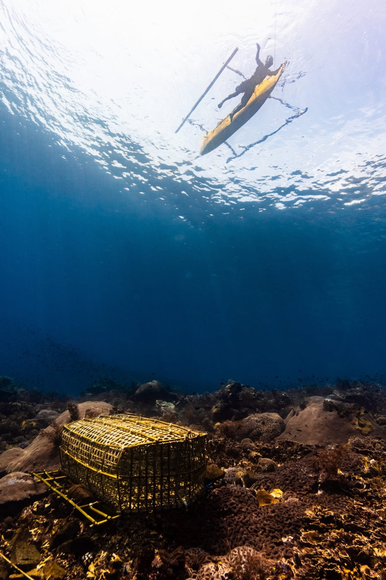 Traditional Fish Trap