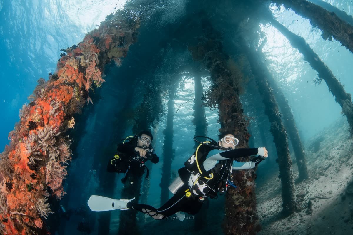 Divers under the coral-encrusted pillars of Bakalang Jetty