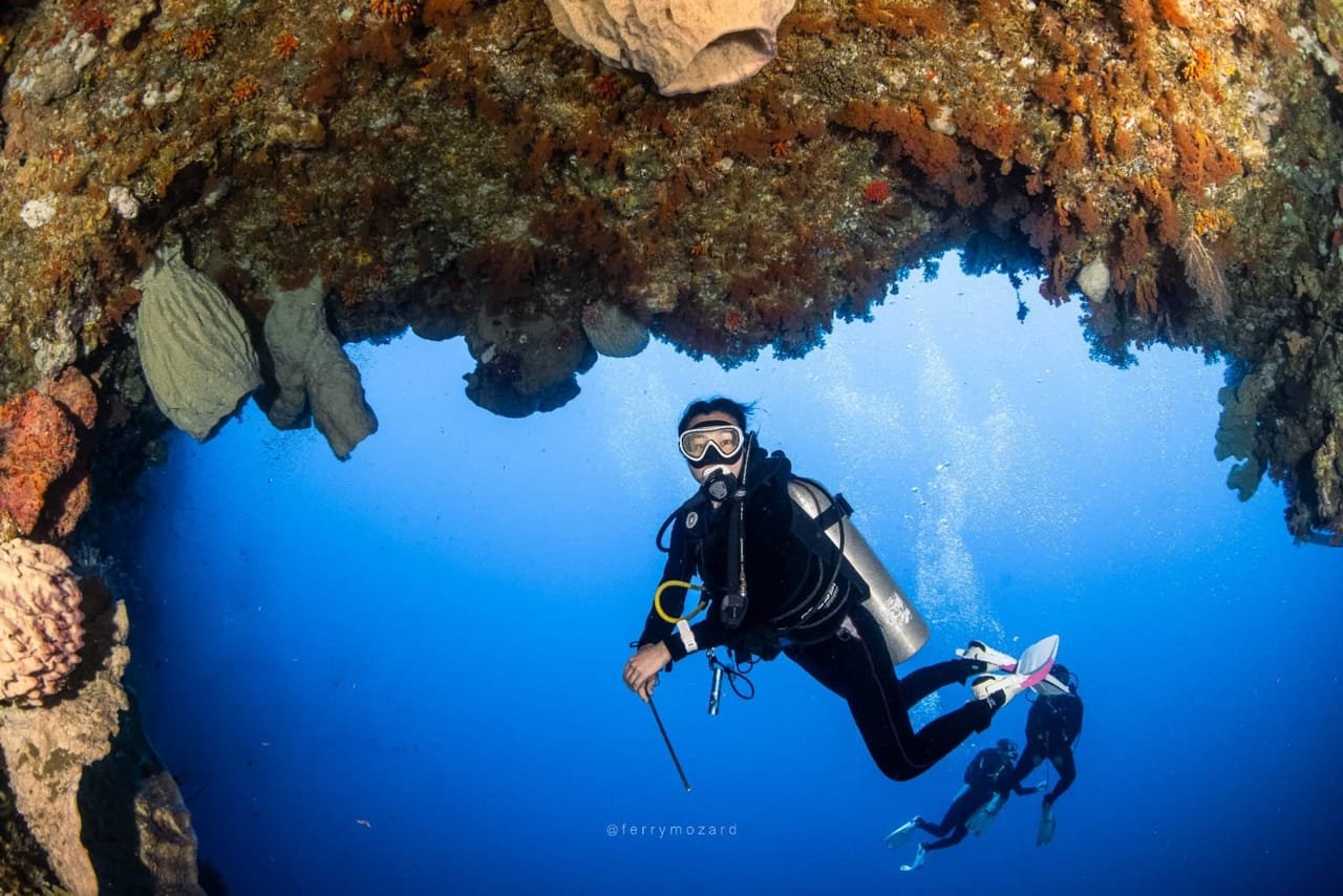 Basic Diver Package