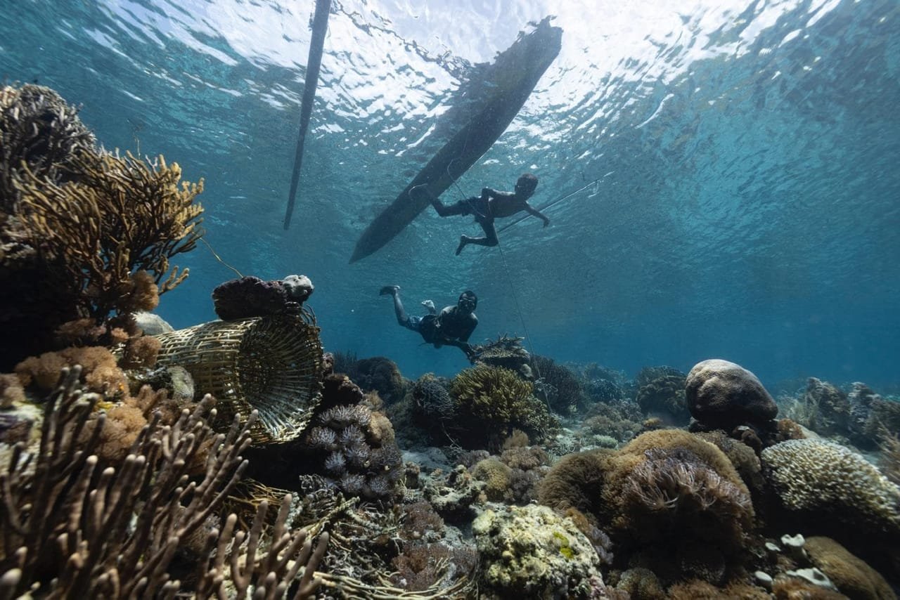 Snorkellers and freedivers exploring a shallow reef